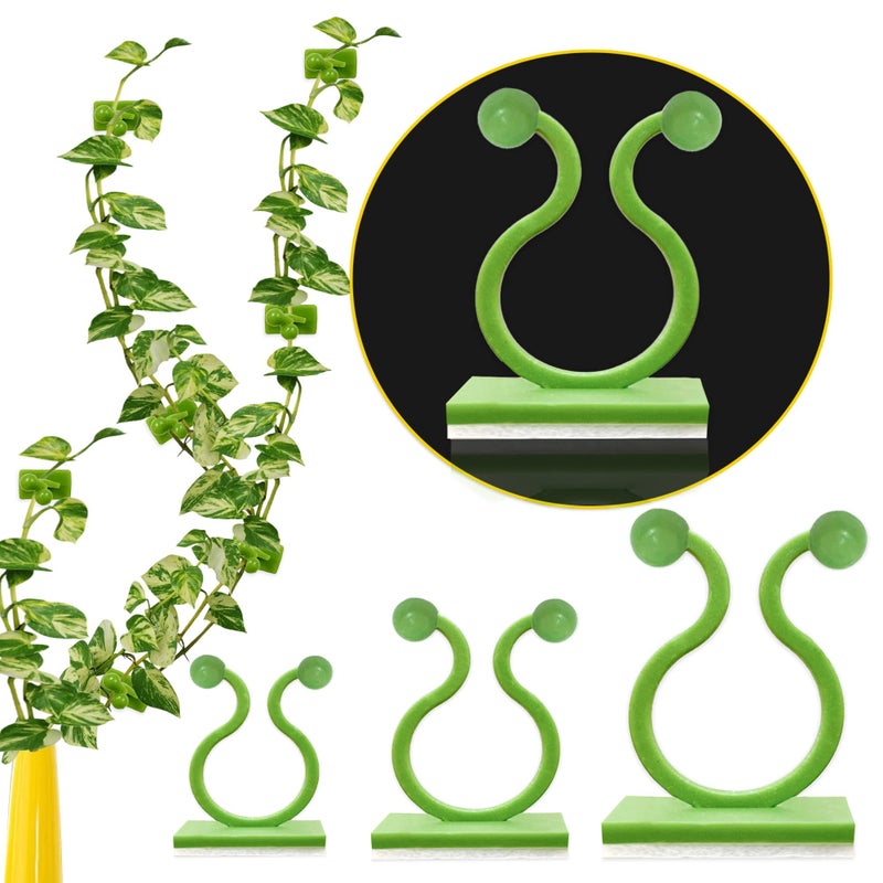 Lasyman Plant Clips-Plant Climbing Wall Fixture Clips 110PCS  Invisible Clips For Climbing Plants Self-Adhesive plant wall clips For Plant Support  Sticky Plant Fixture Clips Plant Holder For Pothos
